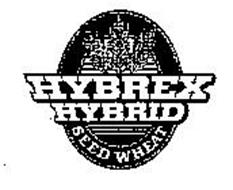 HYBREX HYBRID SEED WHEAT