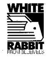 WHITE RABBIT FROM BLUEMELS