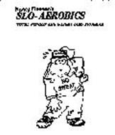 NANCY MEEHAN'S SLO-AEROBICS TOTAL FITNESS AND WEIGHT LOSS PROGRAM NO SWEAT
