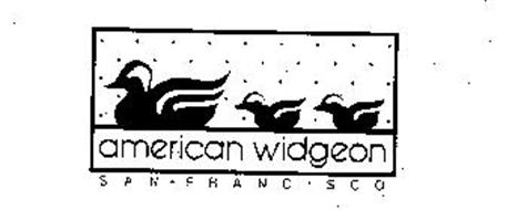 AMERICAN WIDGEON SAN FRANCISCO