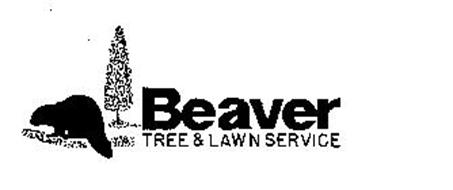 BEAVER TREE & LAWN SERVICE
