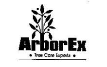 ARBOREX - TREE CARE EXPERTS -