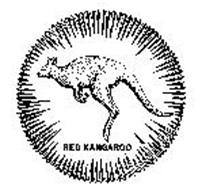 RED KANGAROO