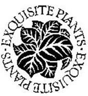 EXQUISITE PLANTS