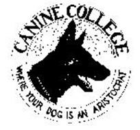 CANINE COLLEGE WHERE YOUR DOG IS AN ARISTOCRAT