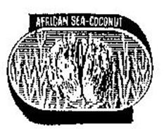 AFRICAN SEA-COCONUT