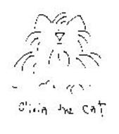 OLIVIA THE CAT