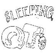 SLEEPING QTS