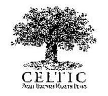 CELTIC SMALL BUSINESS HEALTH PLANS