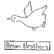 BRIAN BROTHERS
