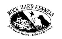 ROCK HARD KENNELS JACK RUSSELL TERRIERS LABRADOR RETRIEVERS