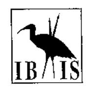 IB IS