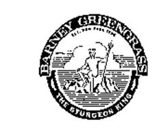 BARNEY GREENGRASS THE STURGEON KING EST. NEW YORK 1908