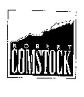 ROBERT COMSTOCK
