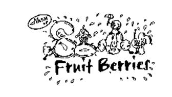NASH NN SOUR FRUIT BERRIES