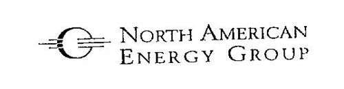 NORTH AMERICAN ENERGY GROUP