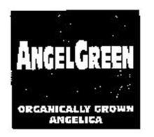 ANGEL GREEN ORGANICALLY GROWN ANGELICA
