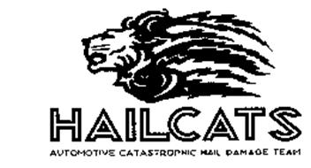 HAILCATS AUTOMOTIVE CATASTROPHIC HAIL DAMAGE TEAM