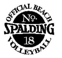 SPALDING - OFFICIAL BEACH VOLLEYBALL NO. 18