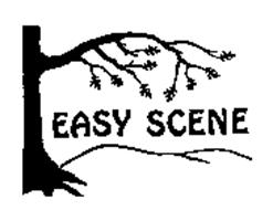 EASY SCENE