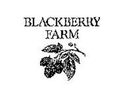 BLACKBERRY FARM