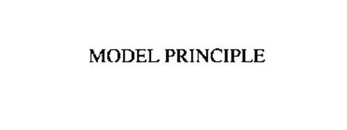 MODEL PRINCIPLE