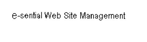 E-SENTIAL WEB SITE MANAGEMENT