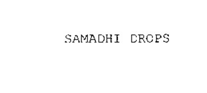 SAMADHI DROPS