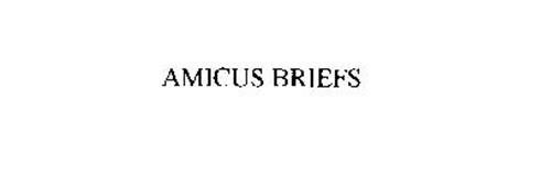 AMICUS BRIEFS