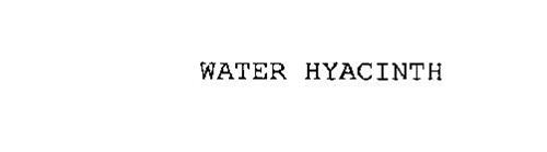 WATER HYACINTH