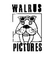 WALRUS PICTURES
