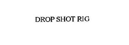 DROP SHOT RIG
