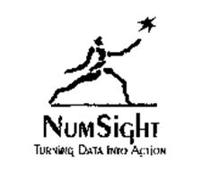 NUMSIGHT TURNING DATA INTO ACTION
