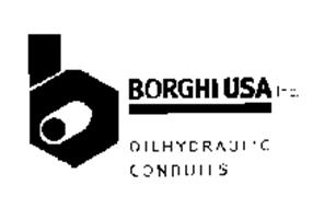 B BORGHI USA INC OILHYDRAULIC CONDUITS