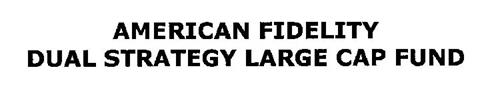 AMERICAN FIDELITY DUAL STRATEGY LARGE CAP FUND