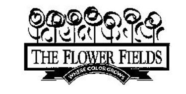 THE FLOWER FIELDS WHERE COLOR GROWS