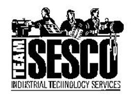 TEAM SESCO INDUSTRIAL TECHNOLOGY SERVICES