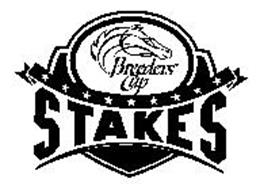 BREEDERS' CUP STAKES