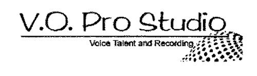 V.O. PRO STUDIO VOICE TALENT AND RECORDING