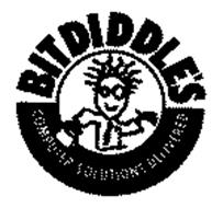 BITDIDDLE'S COMPUTER SOLUTIONS DELIVERED