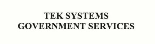 TEK SYSTEMS GOVERNMENT SERVICES