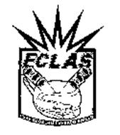 FCLAS FSAP CLOSE-IN LAYERED SHIELD