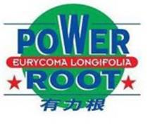 POWER ROOT EURYCOMA LONGIFOLIA