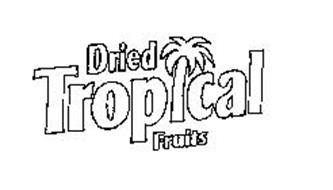 DRIED TROPICAL FRUITS