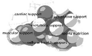 CARDIAC SUPPORT COGNITIVE SUPPORT METABOLIC SUPPORT MUSCULAR SUPPORT SPORTS NUTRITION CELLULAR HEALTH SUPPORT