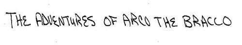 THE ADVENTURES OF ARCO THE BRACCO