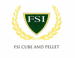 FSI FSI CUBE AND PELLET