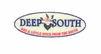 DEEP SOUTH ADD A LITTLE SPICE FROM THE SOUTH