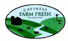 CAVINESS FARM FRESH REGIONAL BEEF