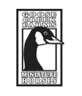 GOOSE CREEK FARMS MINIATURE HORSES